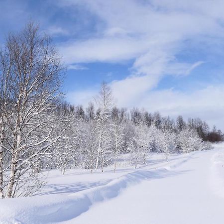 Wild Caribou'S Wildwood Cabin Лакселв Екстериор снимка