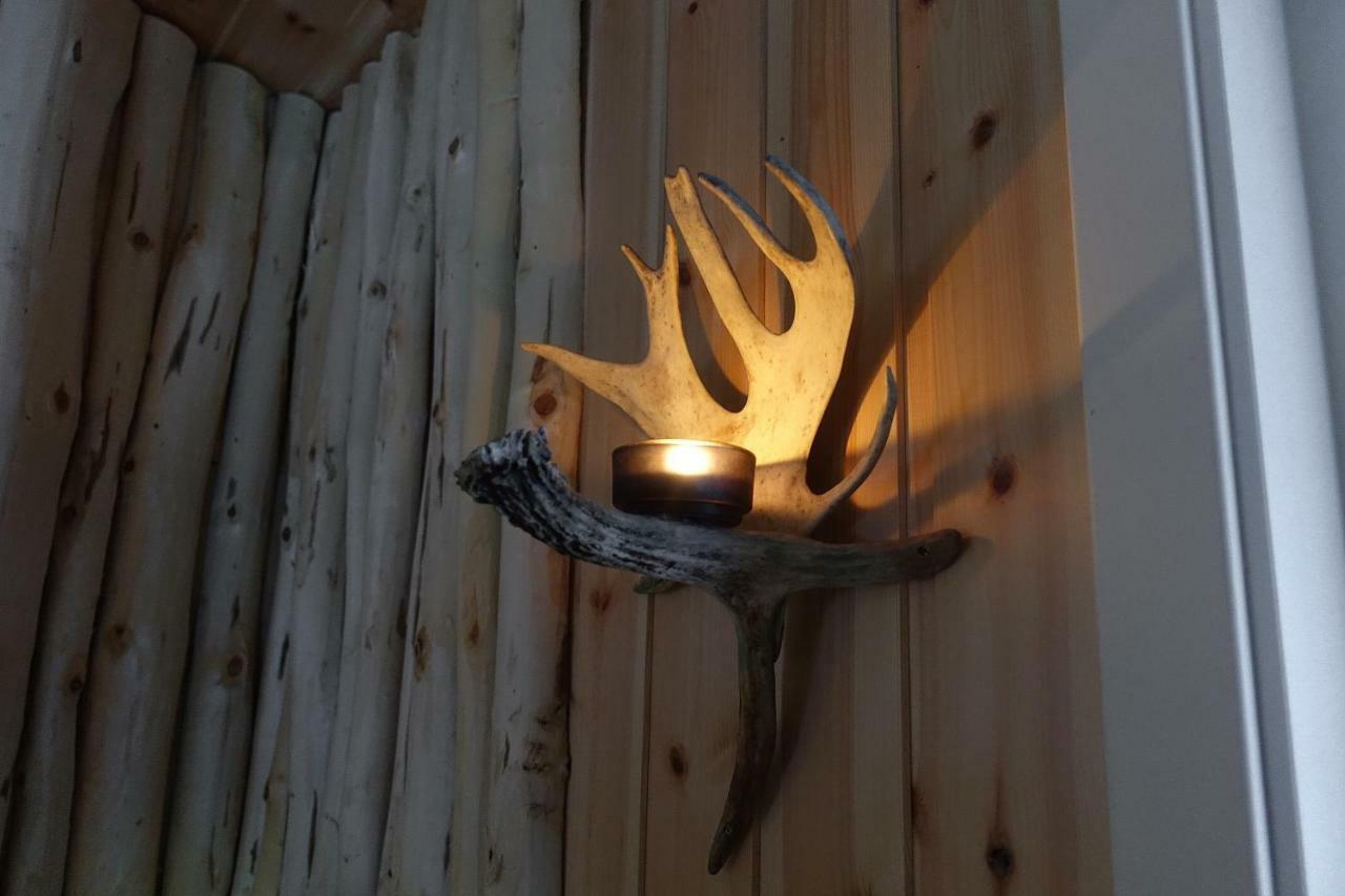 Wild Caribou'S Wildwood Cabin Лакселв Екстериор снимка