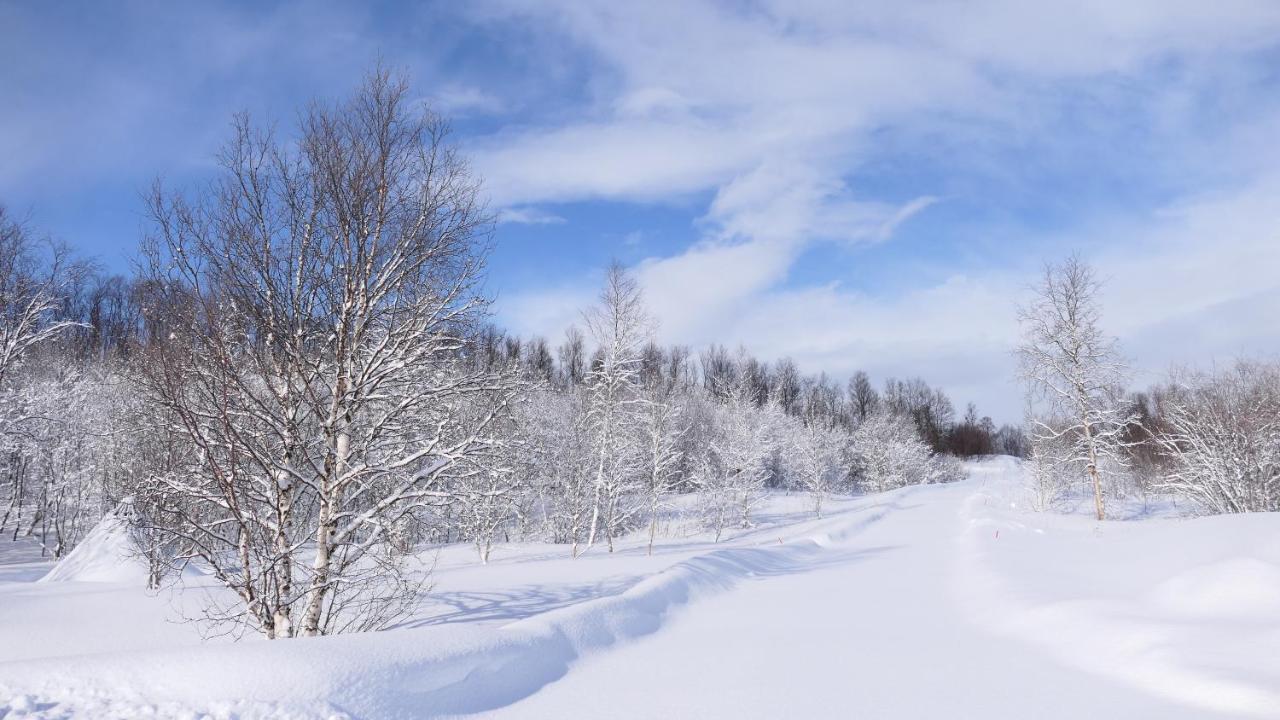 Wild Caribou'S Wildwood Cabin Лакселв Екстериор снимка